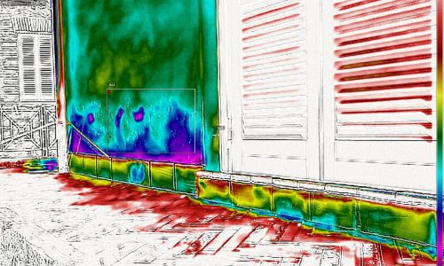 ROMA ISPEZIONI TERMOGRAFICHE (17)
